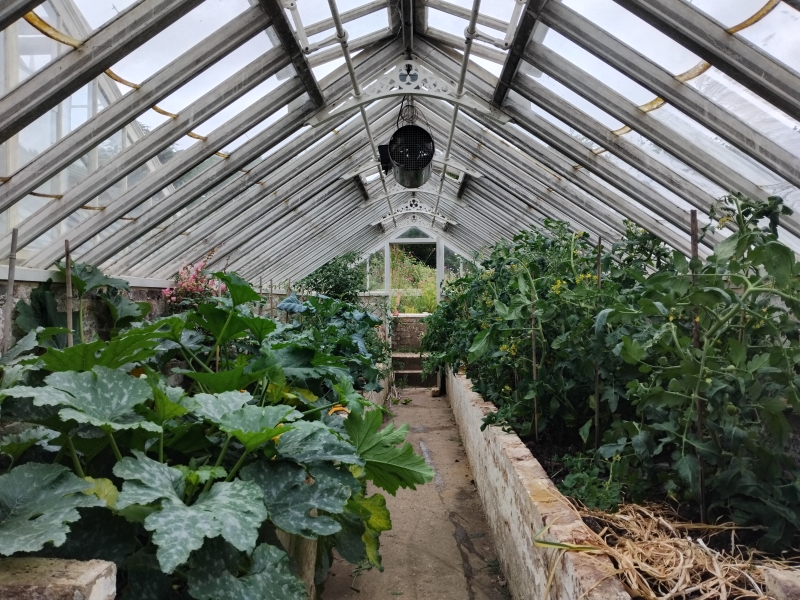 Stud Nursery Community Garden